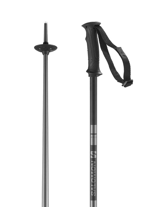 Salomon Arctic